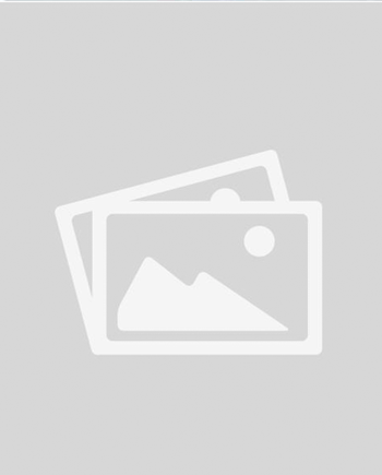 Dr. Mohammed Abdul Awal